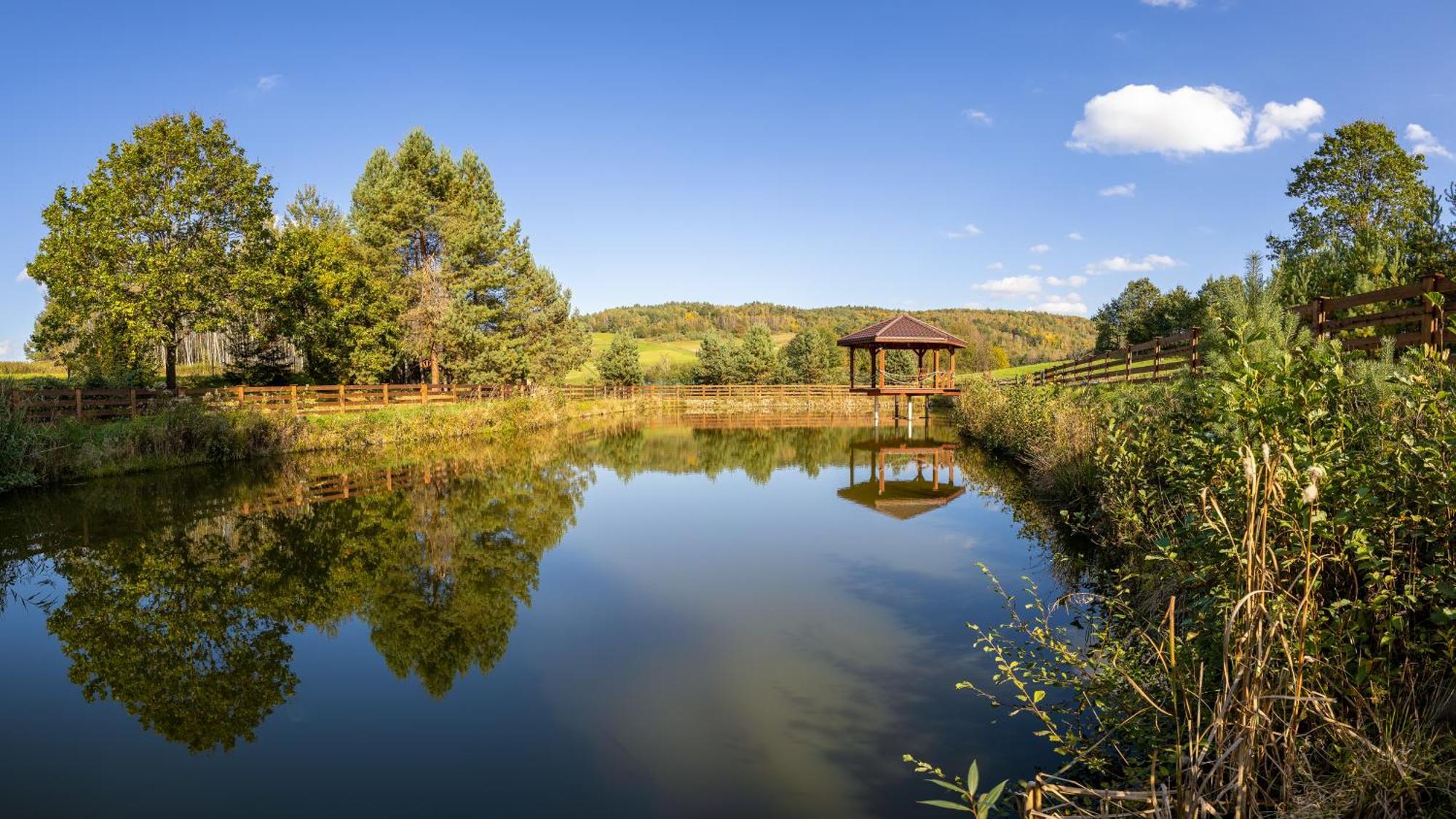 فندق Glamping Pod Gwiazdami Pietrusza Wola المظهر الخارجي الصورة