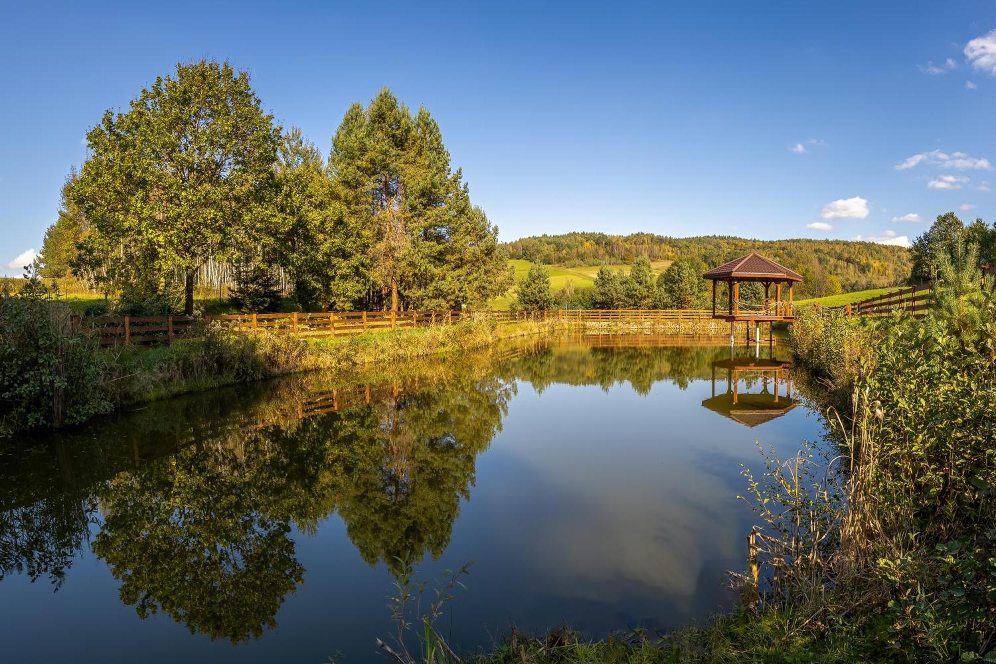 فندق Glamping Pod Gwiazdami Pietrusza Wola المظهر الخارجي الصورة