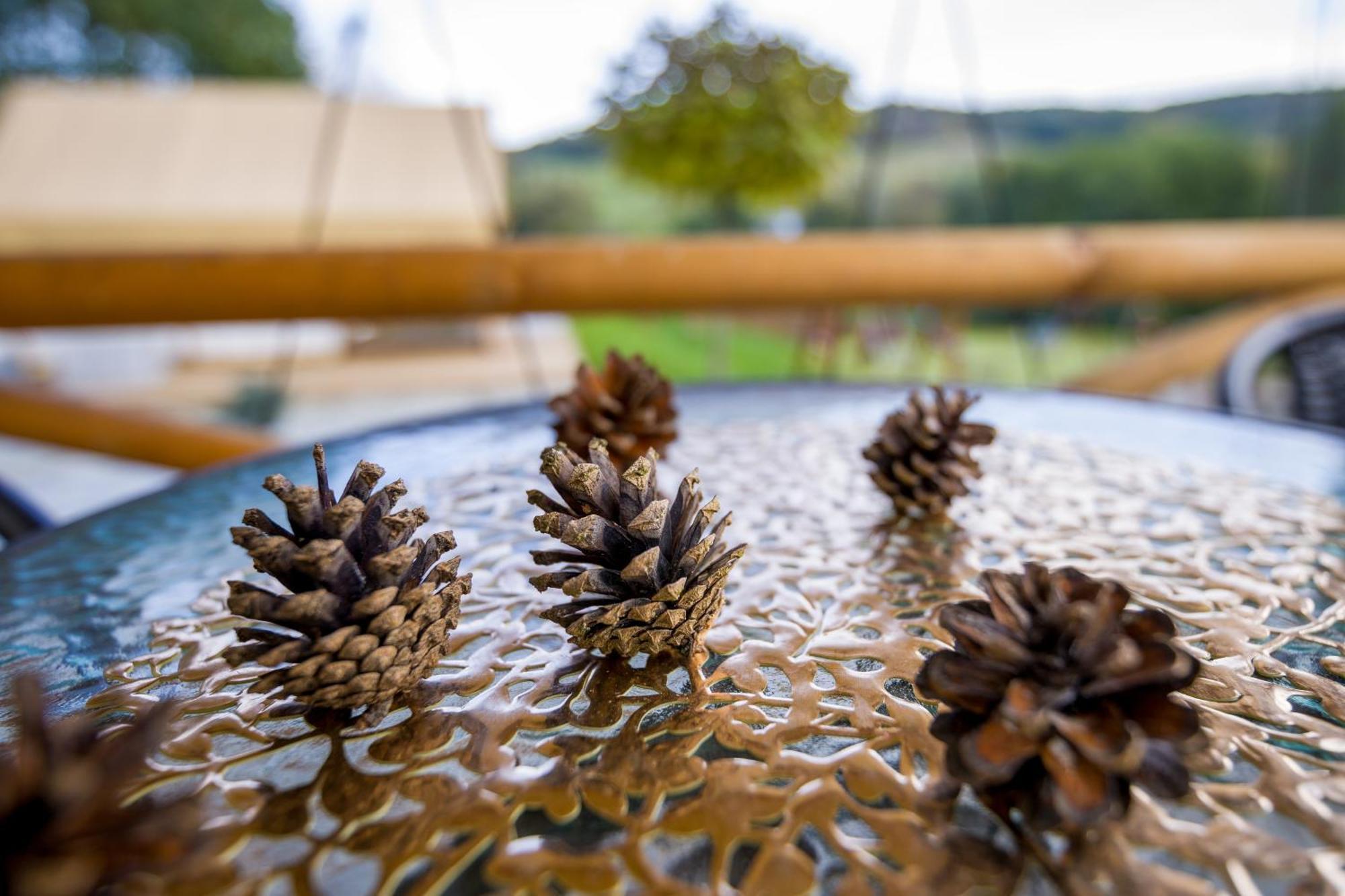 فندق Glamping Pod Gwiazdami Pietrusza Wola المظهر الخارجي الصورة
